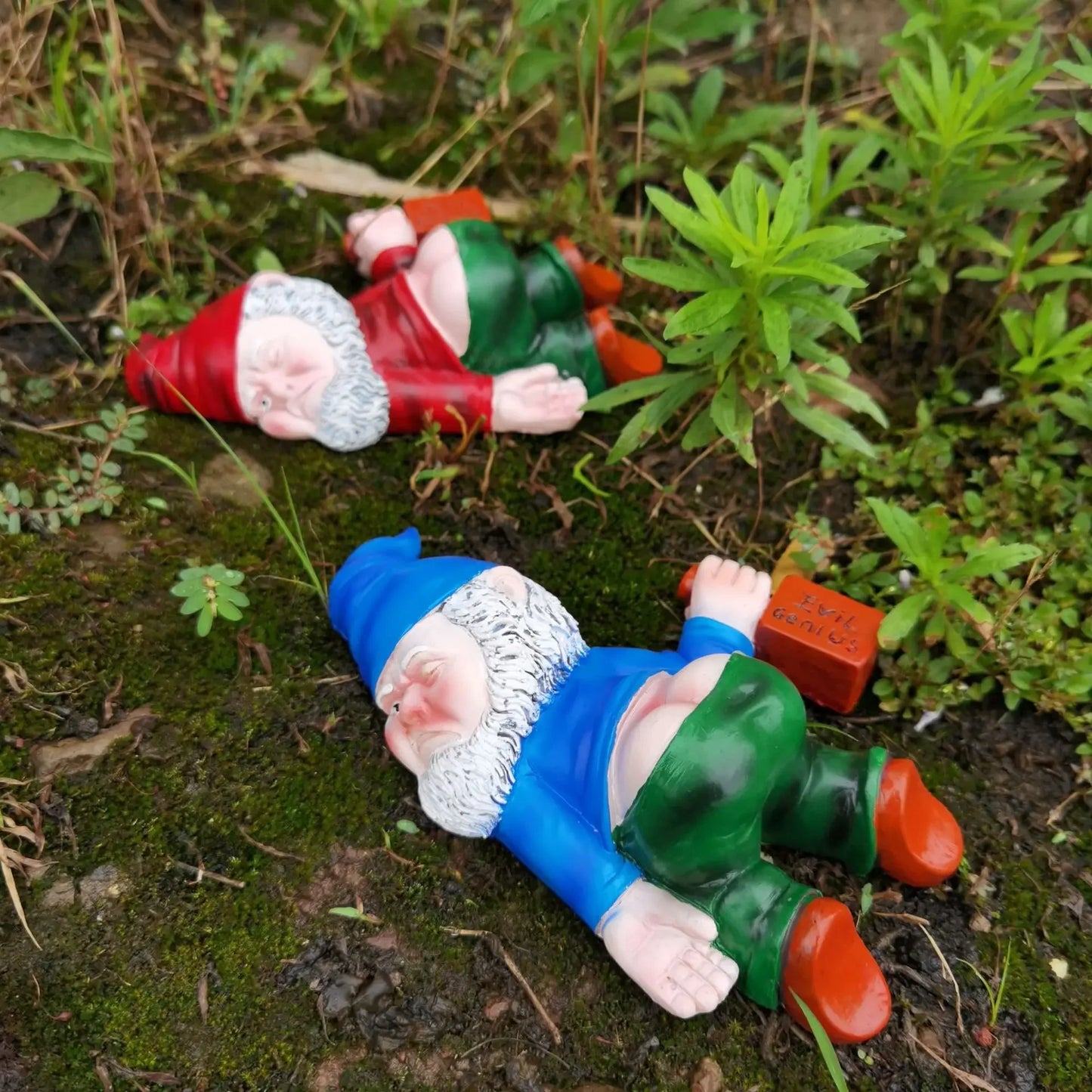 Two garden gnomes lying on the ground among plants