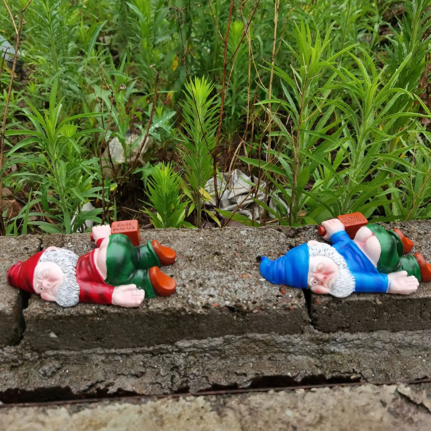 Two garden gnomes lying on a stone surface with greenery in the background