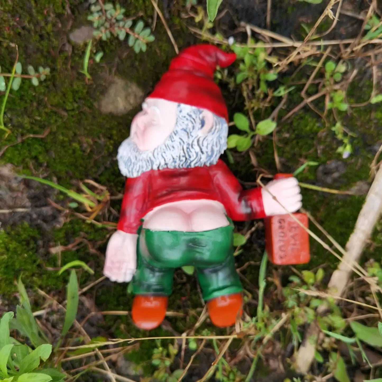 Gnome figurine with a red hat and green pants lying on the ground among plants.