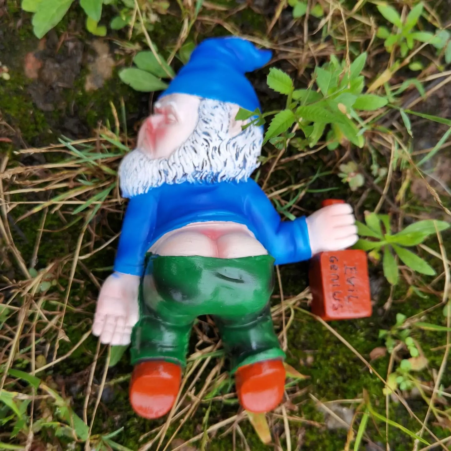 Gnome figurine with a blue hat and green pants sitting on grass