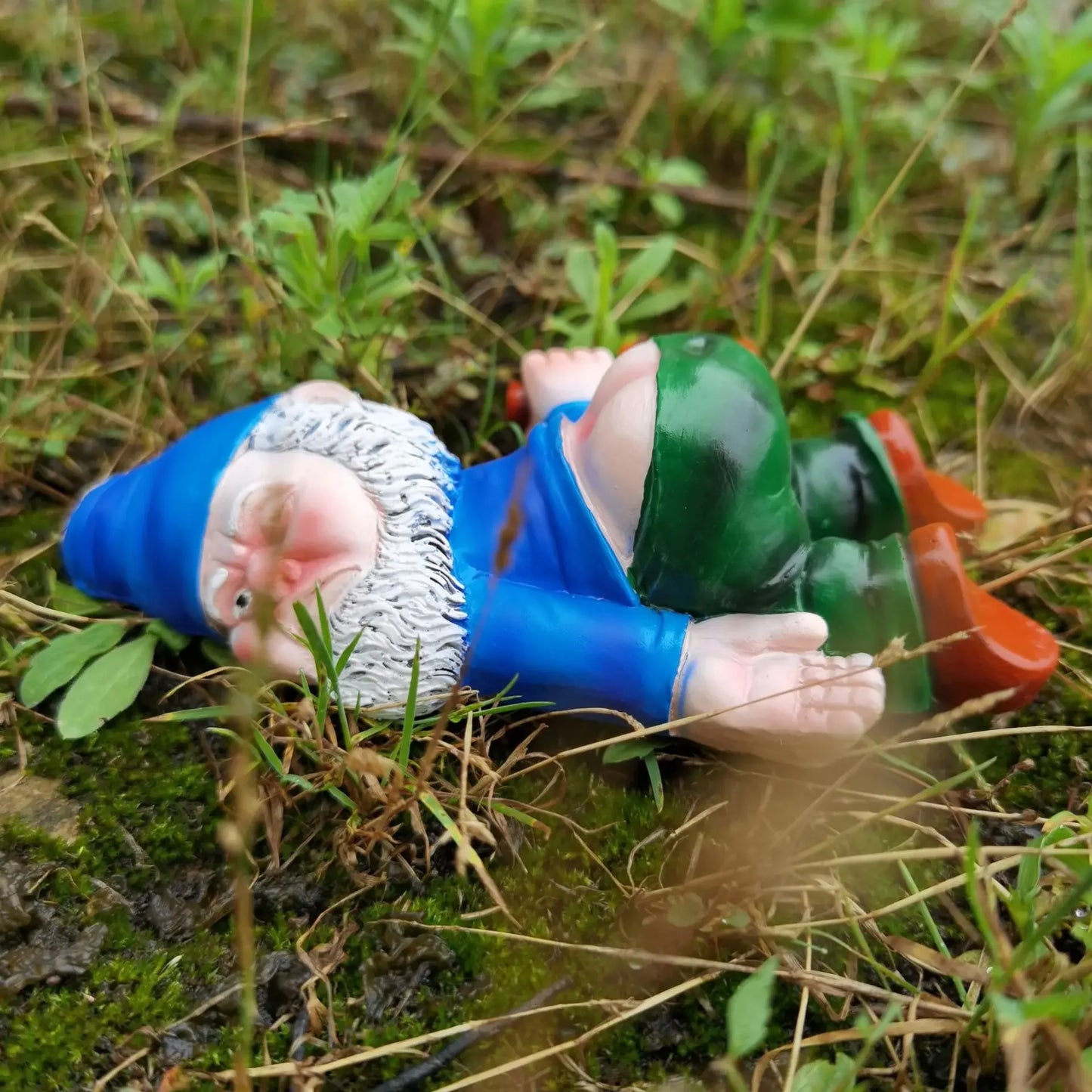 Toy gnome lying on its back in grass