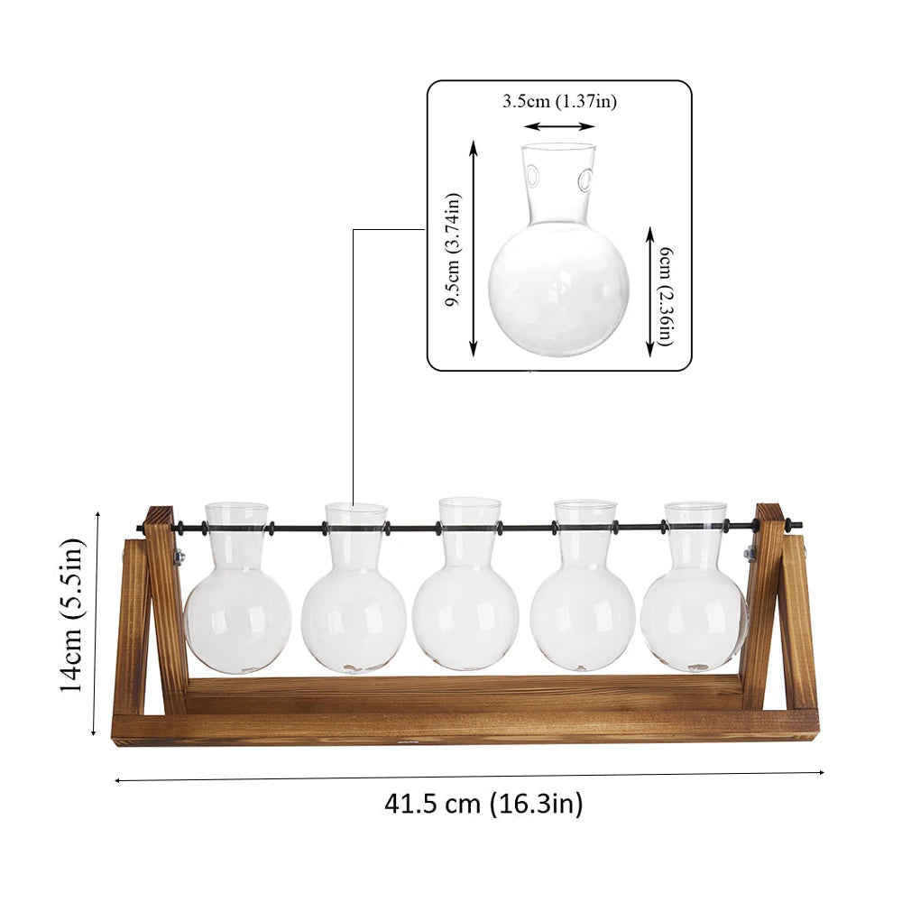 Set of six glass bottles on a wooden stand with measurements indicated