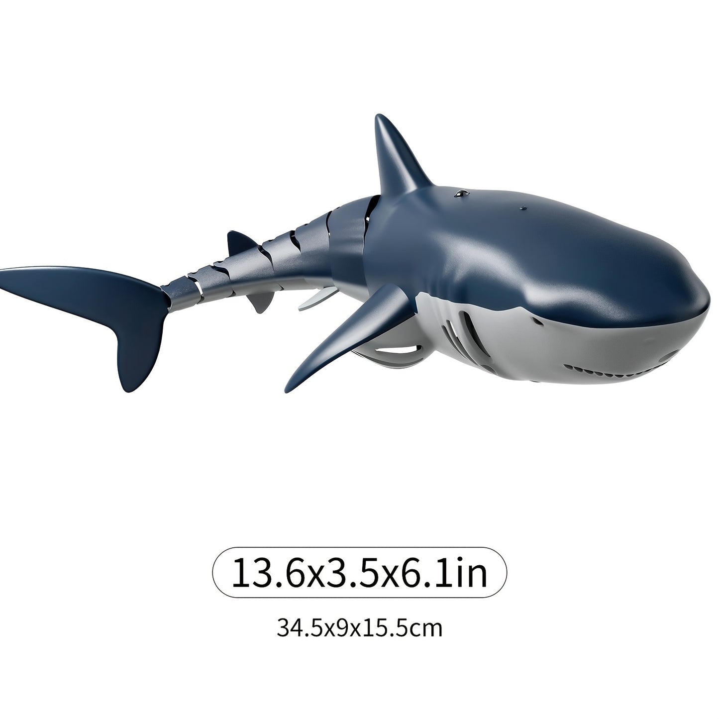 Model of a shark with dimensions displayed on a white background
