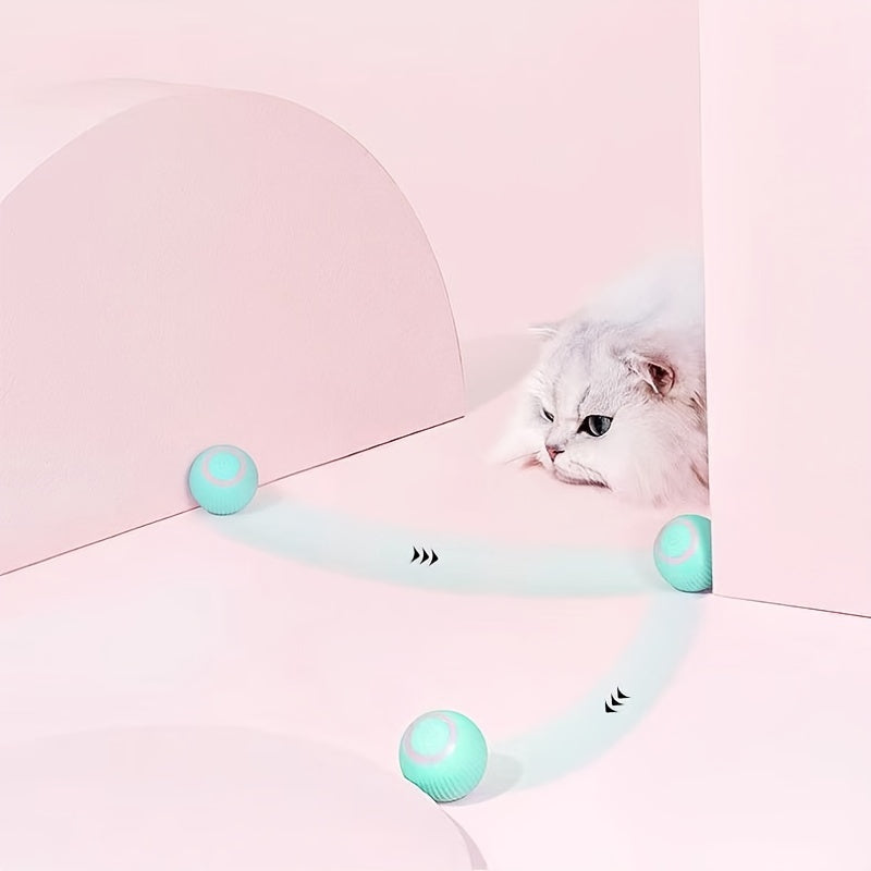 Cat playing with a toy on a pink background