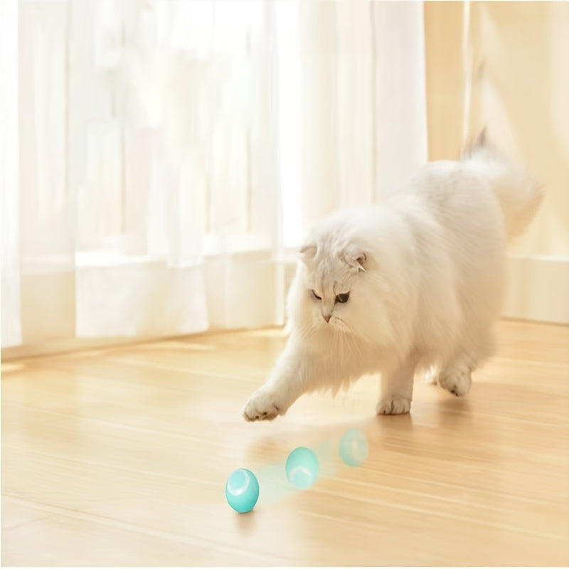 White cat playing with a toy on a wooden floor