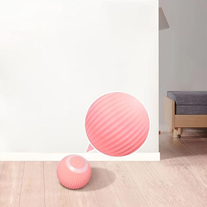 Pink exercise ball on a wooden floor with a neutral background