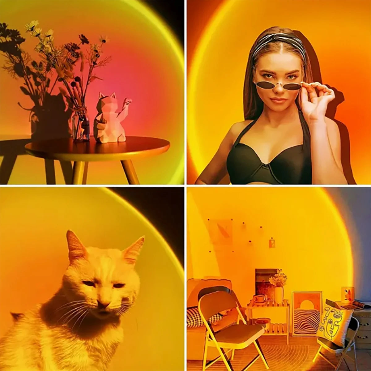 Collage of a woman, cat, table with plants, and room interior under warm yellow lighting.