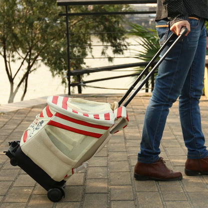 Person pulling a suitcase with a striped cover on a paved walkway.