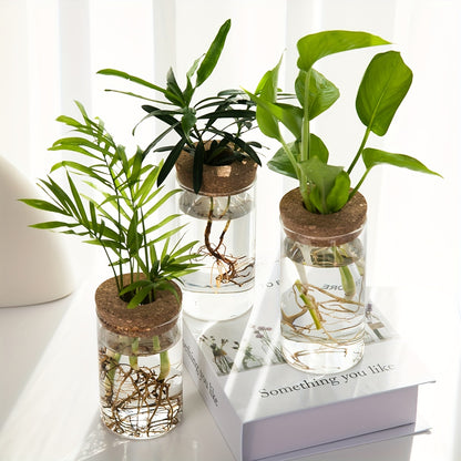 Three small plants in glass jars with cork lids on a white surface.