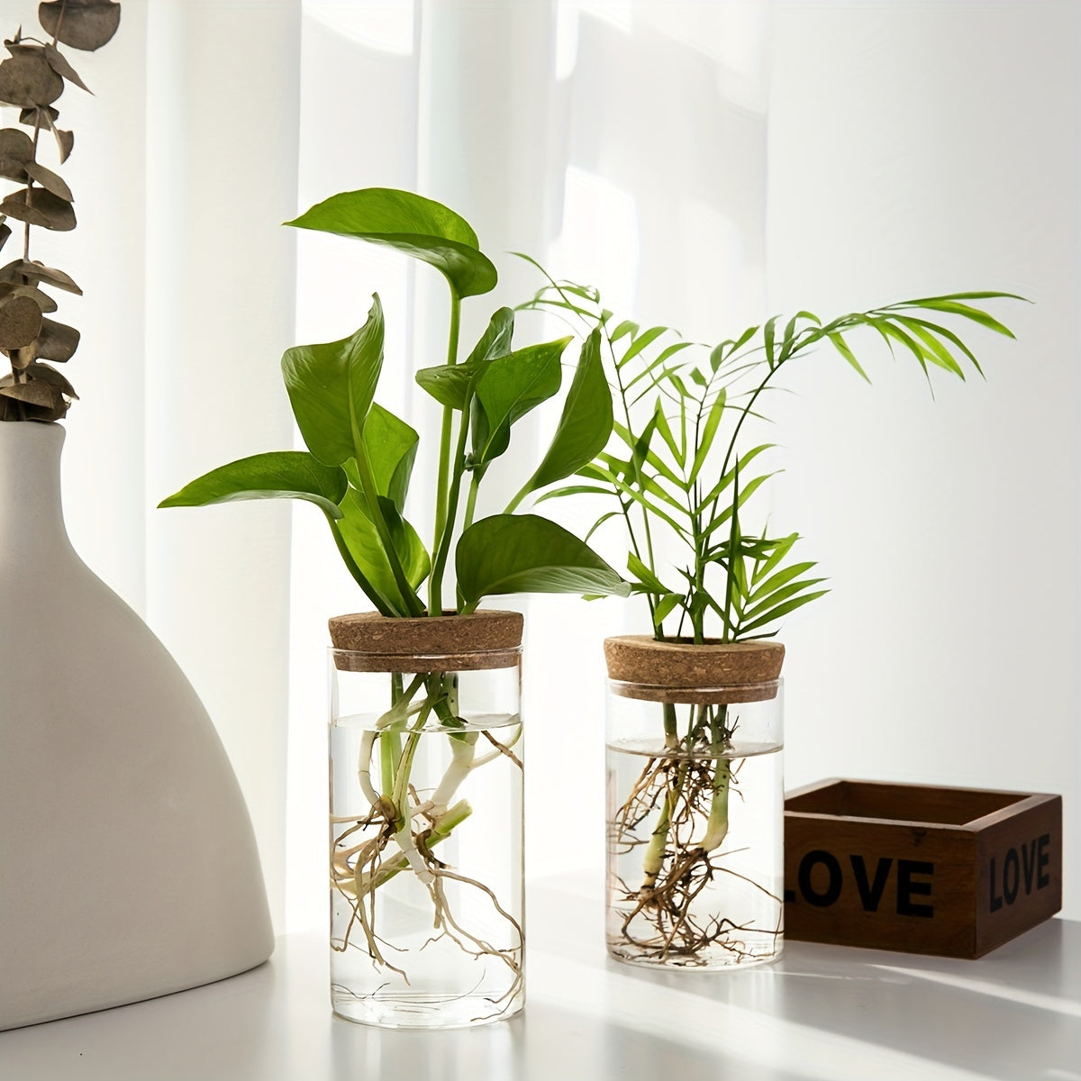 Two glass vases with cork lids containing green plants on a white surface.