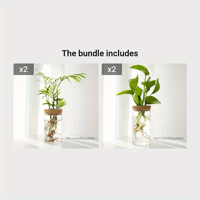 Two glass jars with plants inside, labeled as part of a bundle on a white background.