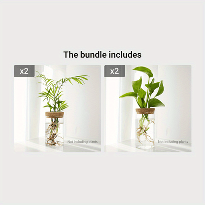 Two glass jars with plants inside, labeled as part of a bundle on a white background.