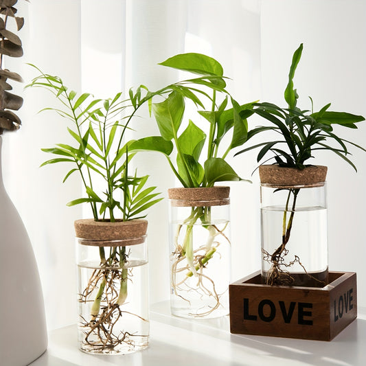 Three small potted plants in glass jars with cork lids on a white surface.