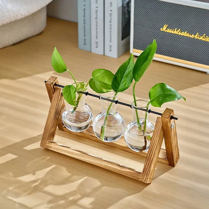 Wooden stand with glass vases holding green plants on a wooden surface.