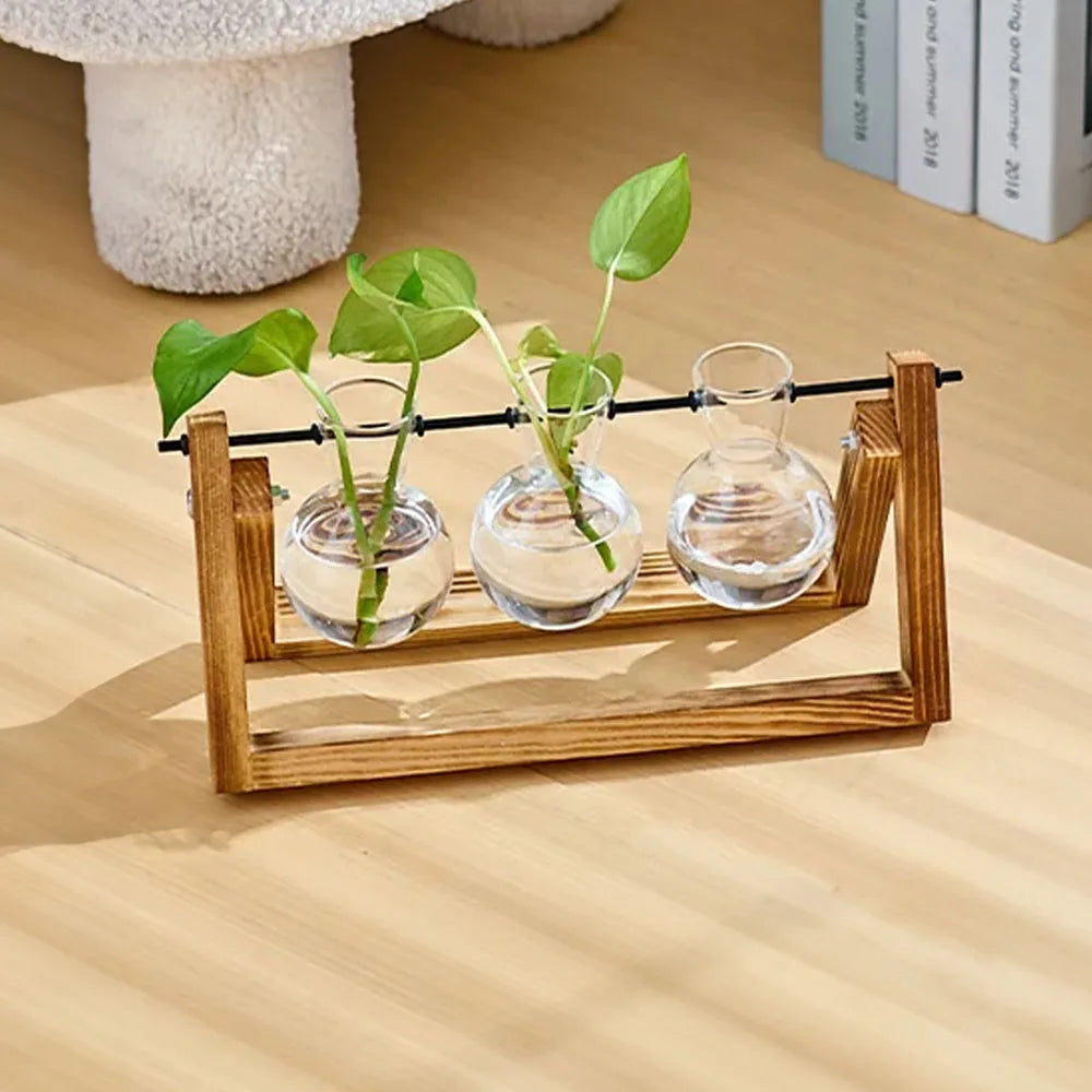 Three glass vases with plants on a wooden stand on a wooden surface.