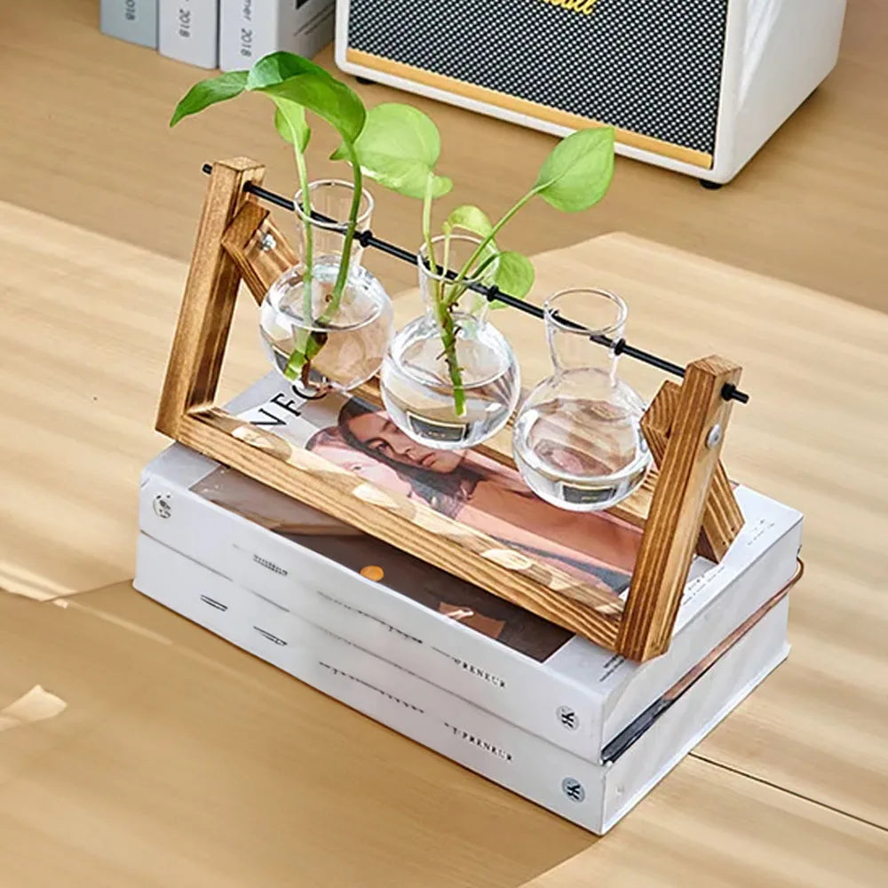 Wooden stand with glass vases containing plants on a stack of books.