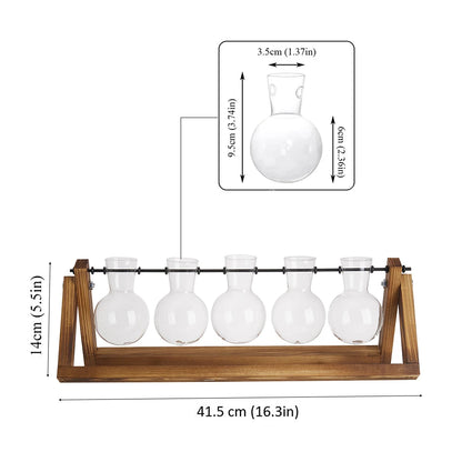 Set of six glass bottles on a wooden stand with measurements indicated
