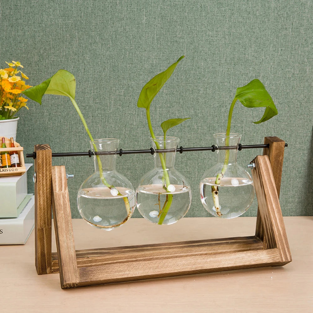 Three glass bulbs with plants in a wooden holder on a table.