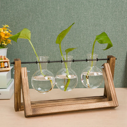 Three glass bulbs with plants in a wooden holder on a table.