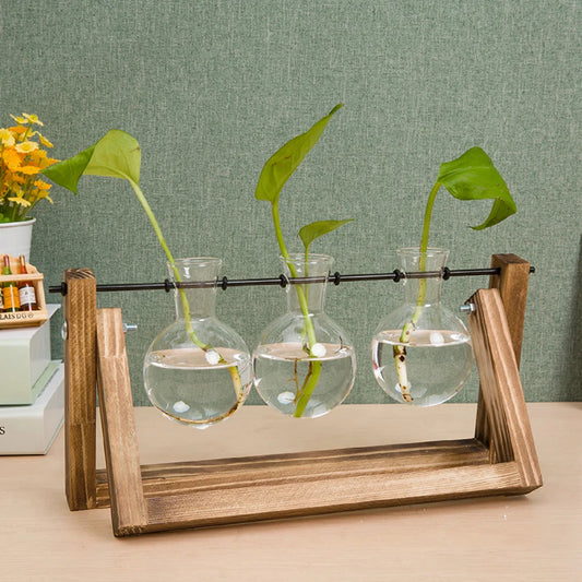 Three glass bulbs with plants in a wooden holder on a table.