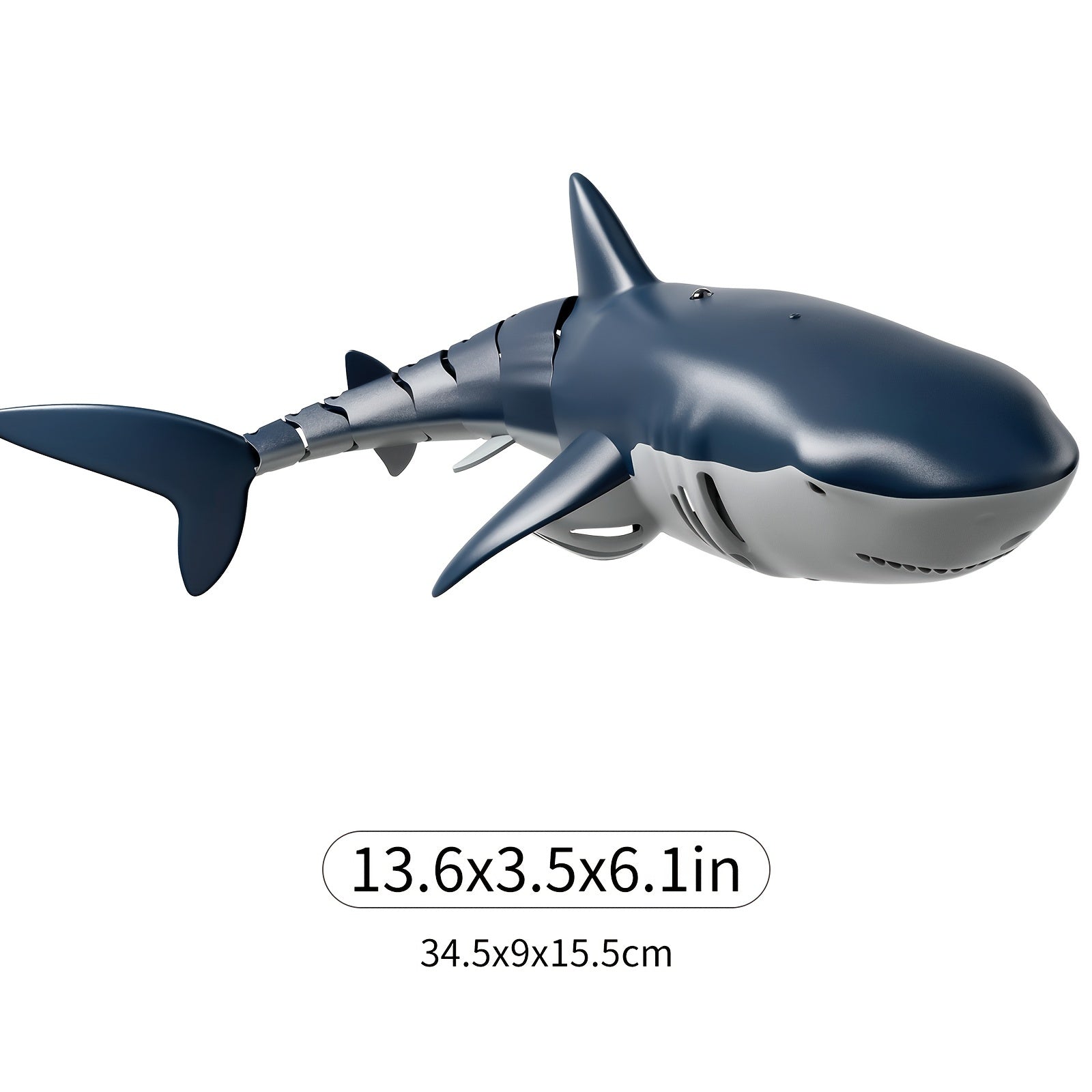 Model of a shark with dimensions displayed on a white background