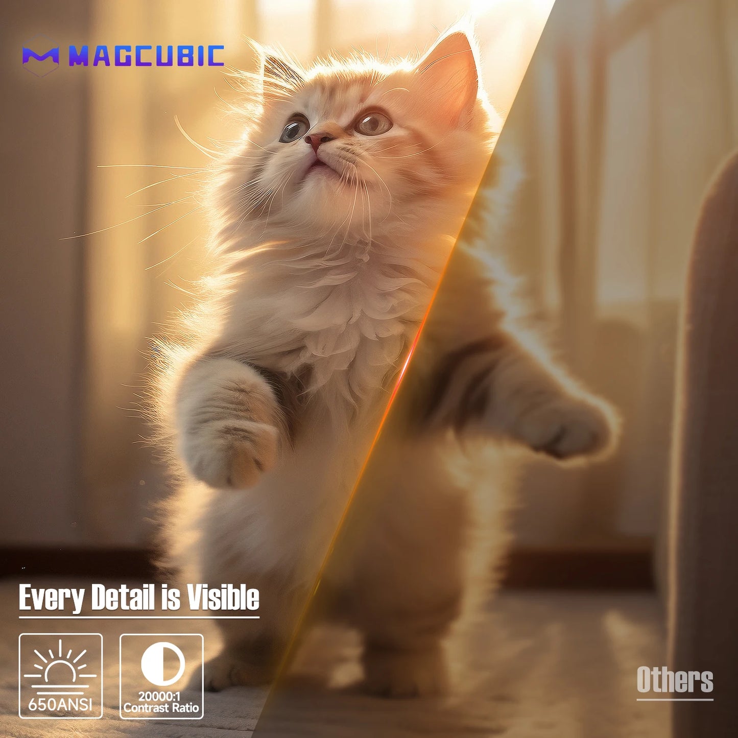 Cat standing on a surface with a blurred background, featuring the Magcubic logo and text.