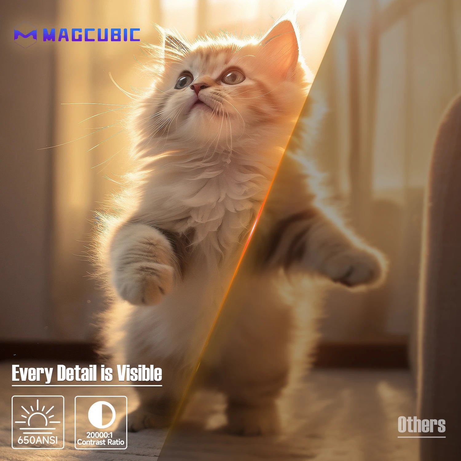 Cat standing on a surface with a blurred background, featuring the Magcubic logo and text.