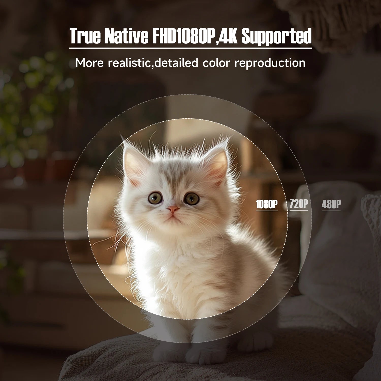 Cute kitten with text about video resolution on a blurred background
