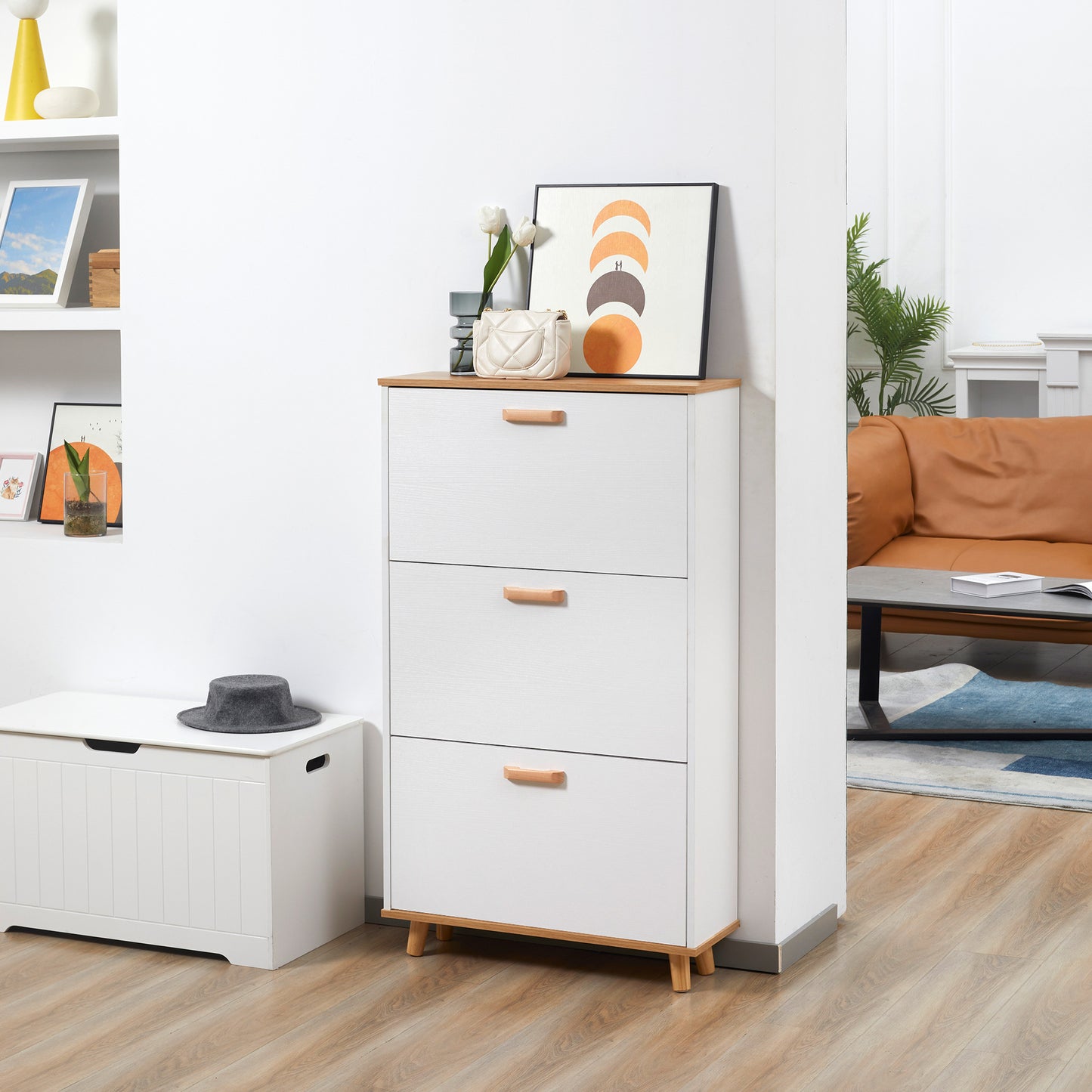 White Shoe Storage Cabinet