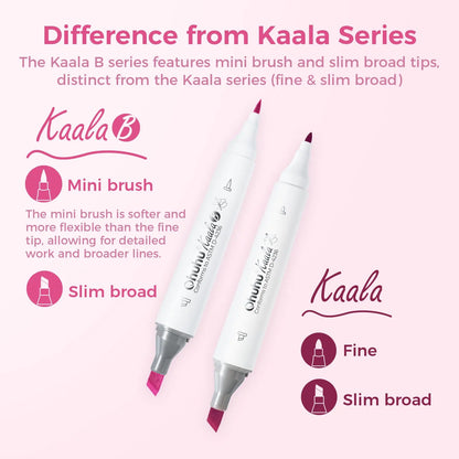 Two cosmetic markers with text explaining the difference between Kaala B and Kaala series on a pink background.