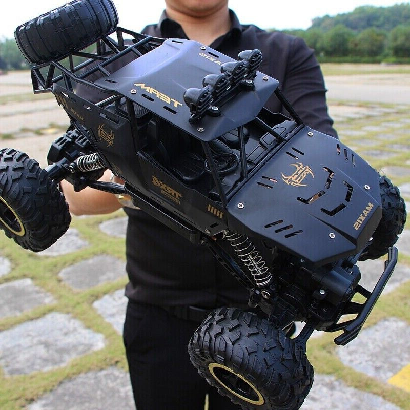 Person holding a large black RC truck with detailed design outdoors.