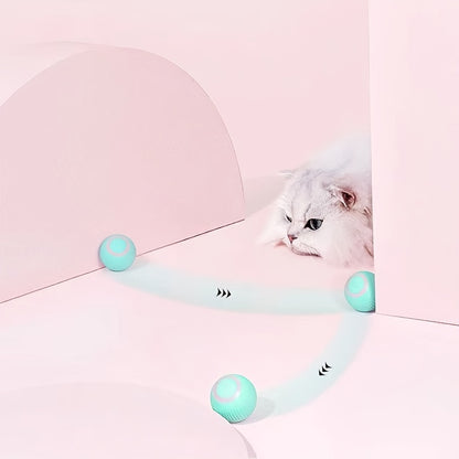 Cat playing with a toy on a pink background