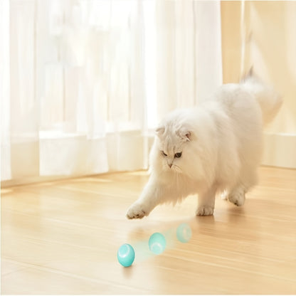 White cat playing with a toy on a wooden floor