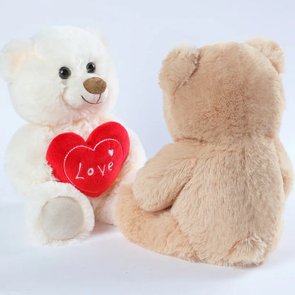 Teddy Bear Valentines Gift